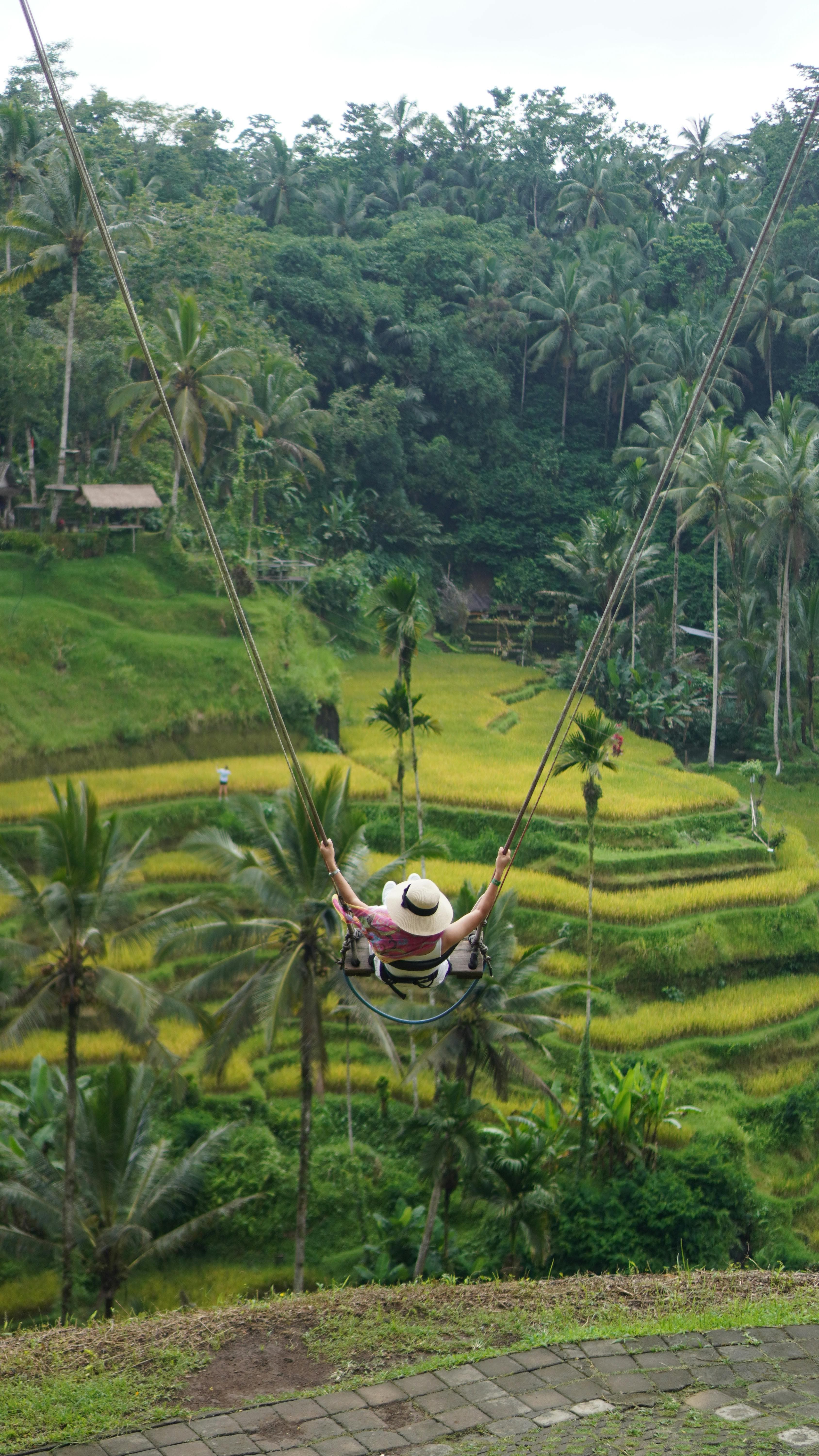 one of the most beautiful rice field landscapes in Bali