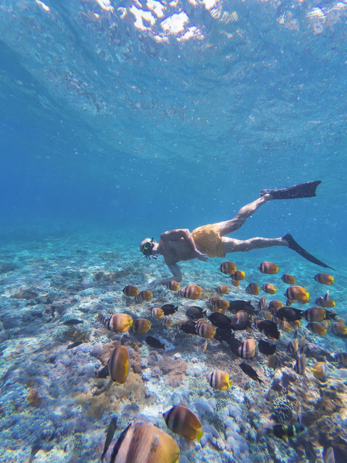Rich coral reefs and colorful marine life.