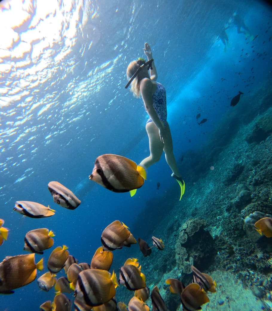 Nusa Penida Special Package: West Tour & Snorkeling Adventure