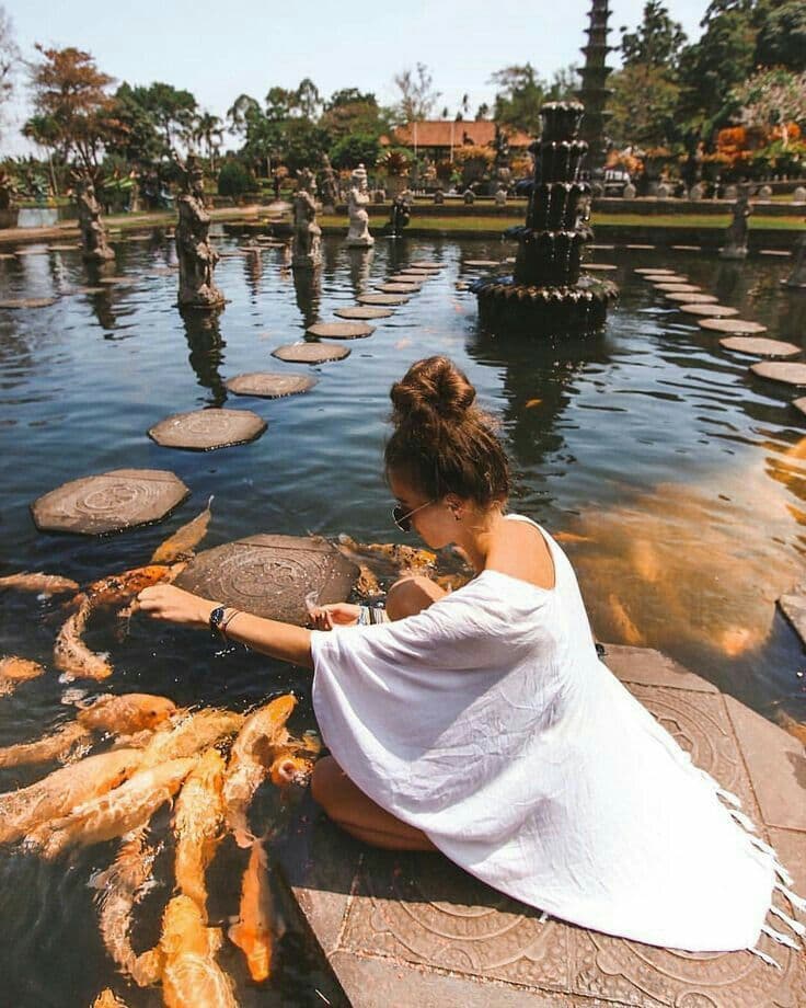 Tirta Gangga Water Palace – Elegant pools, fountains, and stepping stones