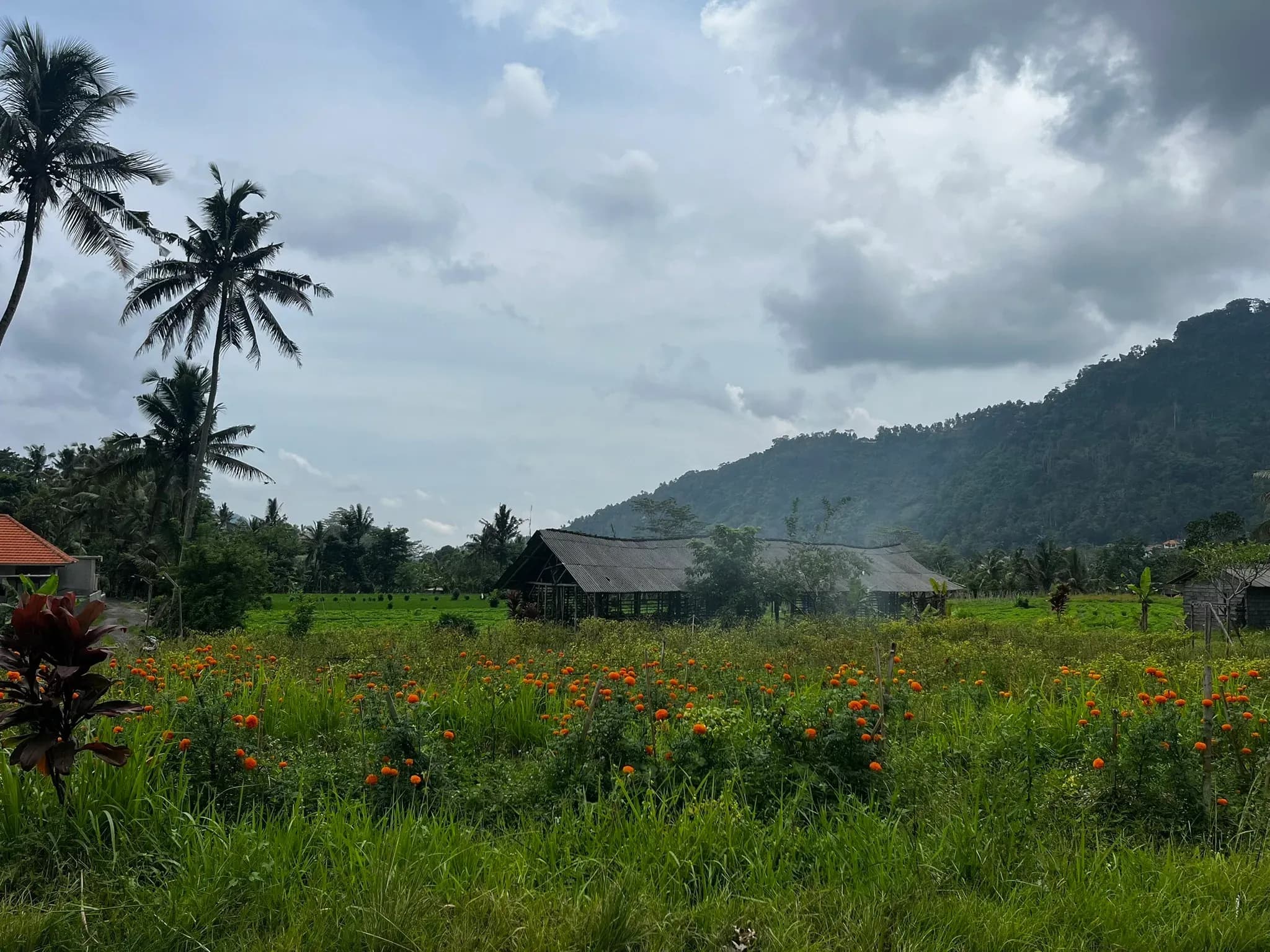 Walk through traditional villages, rice fields, and irrigation canals while enjoying the peaceful countryside atmosphere
