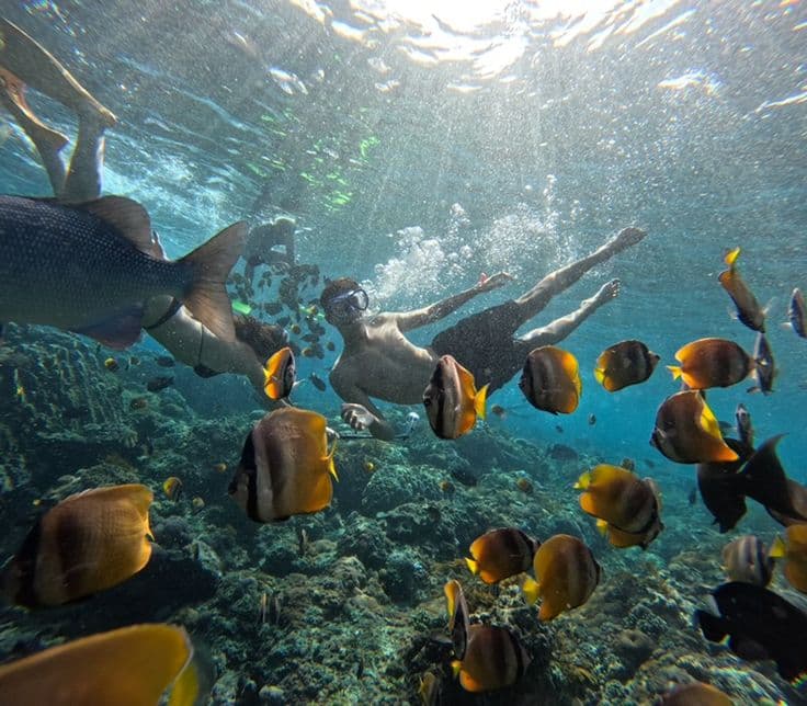 Nusa Penida Snorkeling