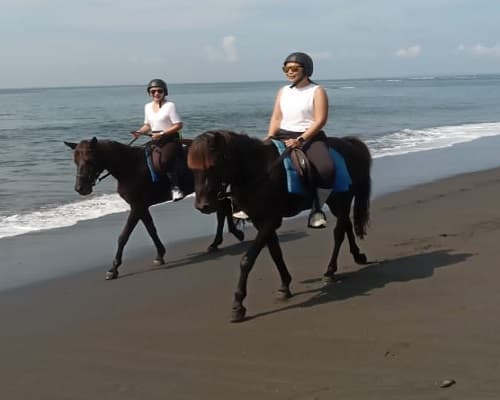 Enjoy a relaxing one-hour horseback riding experience through Bali’s beautiful natural scenery Enjoy a relaxing one-hour horseback riding experience through Bali’s beautiful natural scenery